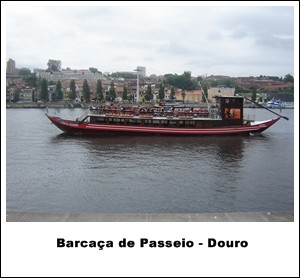 Passeio pelo Rio Douro